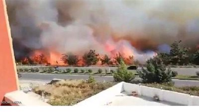 اندلاع حرائق ضخمة في غابات هاتاي بتركيا | فيديو