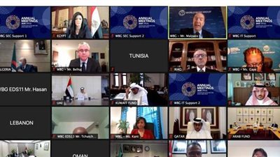 وزير المالية الإماراتي يطالب مجموعة العشرين بتمديد مبادرة  خدمة تأجيل سداد الديون