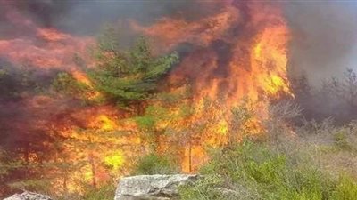 لليوم الثالث على التوالي.. النيران تلتهم أرياف 3 محافظات سورية