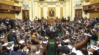 البعثة الدولية المُشتركة تُصدر تقريرها عن انتخابات البرلمان.. عقيل: نتابع مدى الالتزام بمعايير النزاهة.. فوقي: تراجع الوعي السياسي وراء استبعاد عدد كبير من المترشحين