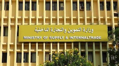 ضبط ٤٢٧ بطاقة تموينية داخل مخبز بالأقصر وإحالة الواقعة للنيابة