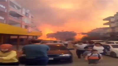 هلع الأتراك بسبب اندلاع حرائق في غابات هاتاي جنوب تركيا | فيديو