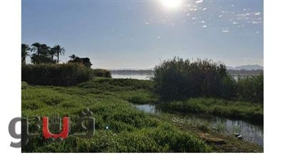 الري تكشف موعد انتهاء الفيضان  | فيديو