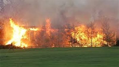 حريق يلتهم 7 أفدنة و20 قيراط قمح بميت غمر في الدقهلية