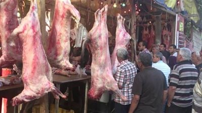 تباين أسعار اللحوم.. والكندوز يسجل 110 جنيهات في مطروح