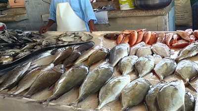ارتفاع أسعار الأسماك.. واستقرار اللحوم