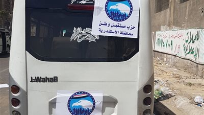 انتشار السيارات لنقل الناخبين إلى اللجان في الإسكندرية (صور)