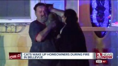 بالفيديو.. قطة تنقذ حياة عائلة من حريق التهم المنزل