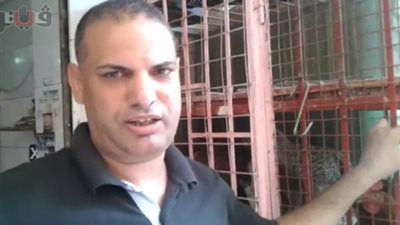 بالفيديو.. الدجاج الأبيض بـ 27.5 جنيها للكيلو جرام في الأسواق