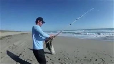 بالفيديو والصور.. أحدث طريقة لصيد سمكة قرش من على الشاطئ