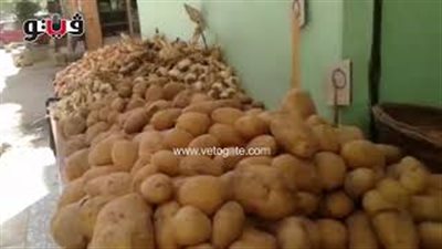 بالفيديو.. الخيار يسجل 8 جنيهات في الأسواق