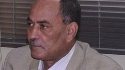 نائب محافظ الجيزة للنواب: ننسق مع الأمن ﻹزالة الإشغالات بالعمرانية