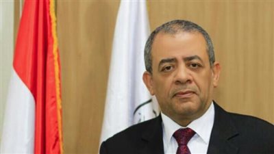 عمليات نادي قضاة مجلس الدولة ترصد إقبال الناخبين وتعاون الشرطة