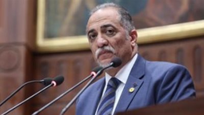 حماة الوطن: ندعم القصبي على رئاسة ائتلاف دعم مصر