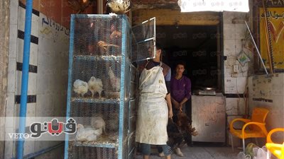 بالصور.. تباين أسعار الدواجن بسوق الدقي