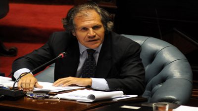 رئيس منظمة الدول الأمريكية: مجلس انتخابات فنزويلا سبب أزمة البلاد