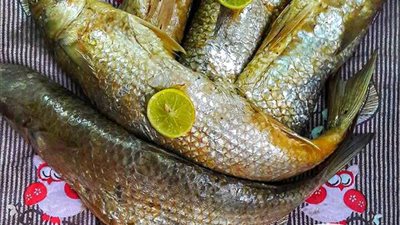 جلسة تصوير لـ«الفسيخ» يشعل مواقع التواصل (صور)