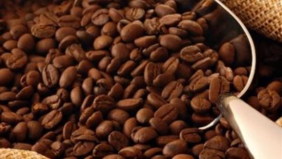 علماء يحذرون.. أنواع كثيرة من البن مهددة بالانقراض