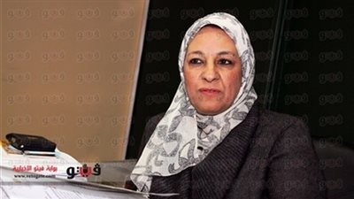 نائب محافظ القاهرة تهدد بفسخ التعاقد مع متعهد قمامة «الجسر البراني»