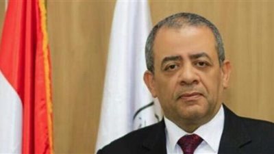 مجلس الدولة: إقبال الناخبين على التصويت كبير وغير متوقع