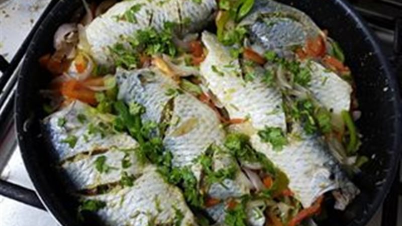 السمك السنجارى