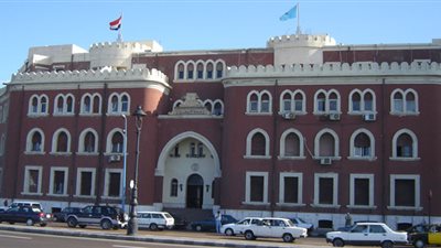 أستاذ علم اجتماع: مشاركة أسر أطفال الشوارع الحل الوحيد لاستيعابهم