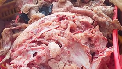 ضبط 17 طن هياكل وأحشاء فاسدة قبل تصنيعها لحوم مفرومة بالجيزة