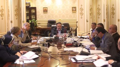 بالصور.. تفاصيل الخلاف بين البرلمان والحكومة بسبب العمالة الأجنبية