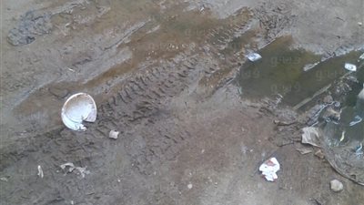 بالصور.. شارع الحمزاوي بفاقوس غارق في مياه الصرف الصحي في الشرقية