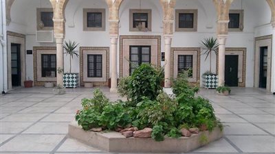 فتوى دار الإفتاء التونسية في المساواة بين الرجل والمرأة تغضب السلفيين.. لطفي عامر: انحراف عن الدين.. سامح عبد الحميد يدعو لمظاهرة ضد السبسي.. و«دينية البرلمان»: تخالف شرع الله