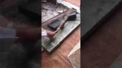 ردة فعل صادمة لرجل عجور مع عدد من أجهزة البلاي ستيشن (فيديو)