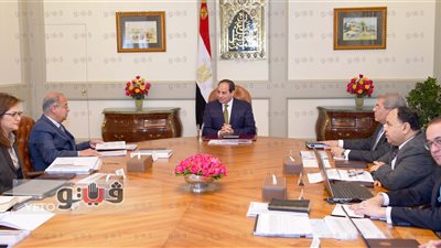 تكليفات السيسي للحكومة لتحقيق التنمية: تحسين مستوى الخدمات العامة.. استفادة المواطن من النمو الاقتصادي.. التوسع في برامج الحماية الاجتماعية.. استهداف الفئات الأقل دخلا.. والرعاية الصحية لغير القادرين