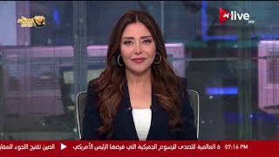 رئيس النيابة الإدارية: لا توجد شكاوى حتى الآن من الناخبين (فيديو)
