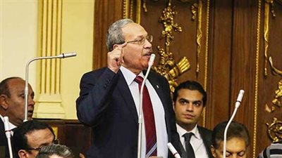 علاء عبد المنعم يعاتب رئيس البرلمان: «أنت مخاصمني ليه»