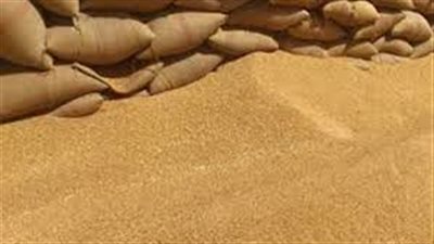 تموين كفرالشيخ يعلن توريد 179 ألفا و579 طن قمح محلى للصوامع