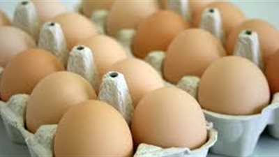 «الثروة الداجنة»: كرتونة البيض تسجل 45 جنيهًا في المناطق الراقية