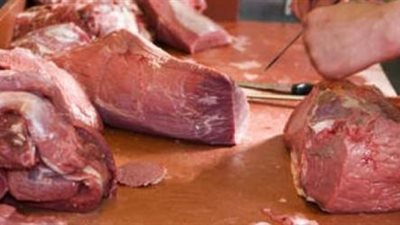 فضيحة بشأن لحوم الخيول في فرنسا وبلجيكا