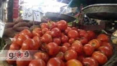 تباين أسعار الخضراوات.. والطماطم تسجل 3.80 جنيهات