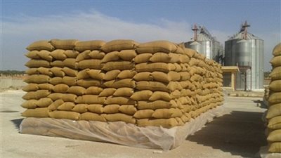 توريد 143 ألف و871 طن قمح للشون والصوامع بقنا