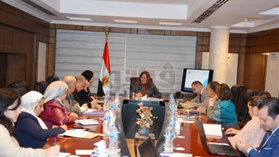 وزيرة التخطيط: 800 مليون جنيه لتنفيذ مشروعات صغيرة في 3 محافظات (صور)
