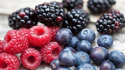 «التوت البري».. علاج فعال لحماية المخ من الضمور العصبي