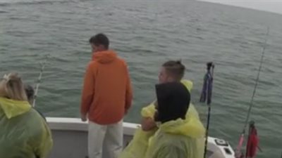 بالفيديو.. قرش ضخم يقفز من الماء لسرقة سمكة من صياد