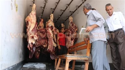 بالصور.. طرح لحوم بلدية بسعر 59 جنيها للكيلو بالفيوم