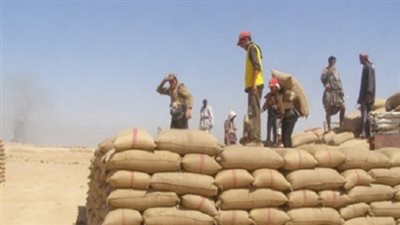 توريد 507 آلاف و773 طن قمح للصوامع والشون بالشرقية