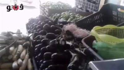 بالفيديو.. استقرار أسعار الخضراوات اليوم والبطاطس بـ4 جنيهات