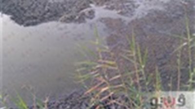 «ري الفيوم»: لا يجوز المناوبة بين الأراضي ومزارع الأسماك بمصرف الوادي