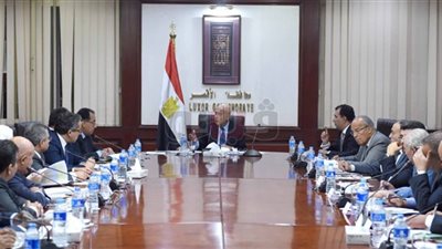 رئيس الوزراء لنواب الأقصر: الفترة المقبلة تشهد حصاد جهود الحكومة