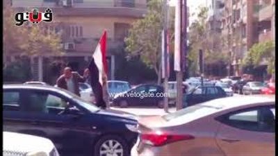 ناخب يلوح بعلم مصر لحث المواطنين على التصويت (فيديو)