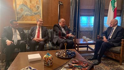 سامح شكري يشيد بقوة العلاقات مع لبنان خلال لقائه مع نبيه بري