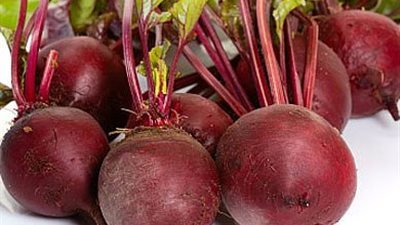 غدًا.. آخر موعد لشحن محصول بنجر السكر بالمنيا